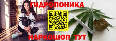 spice Мариинск