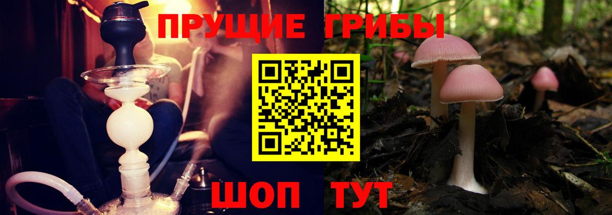 Усть-Илимск  Галлюциногенные грибы GOLDEN TEACHER  Псилоцибиновые грибы мухоморы  купить   Вход с VPN 